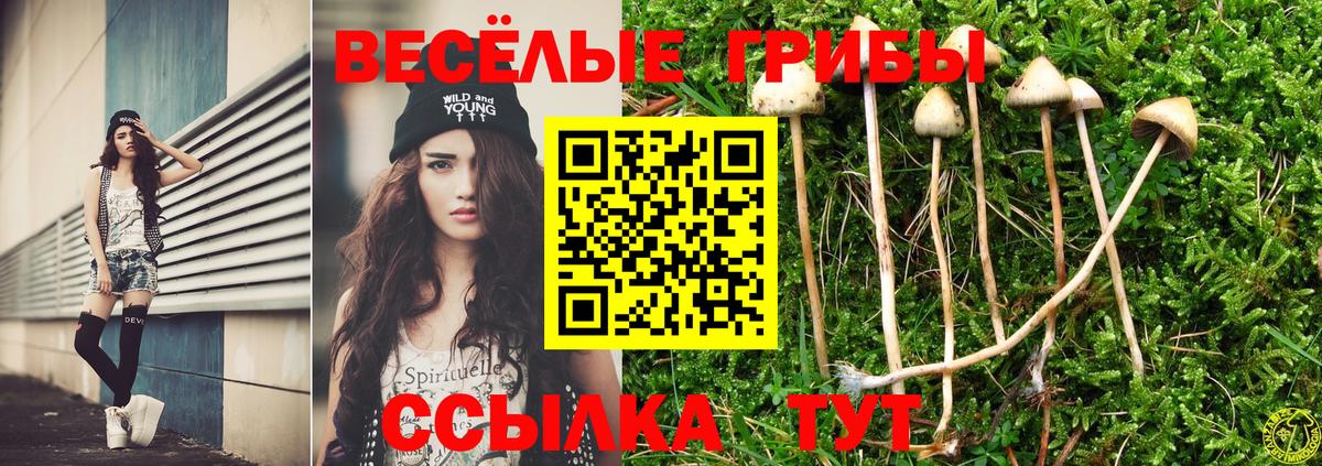 Псилоцибиновые грибы Psilocybine cubensis  Вход с VPN  Новошахтинск 